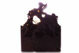 Seymchan Pallasite Meteorite Slice ( g) - Russia #382892-1